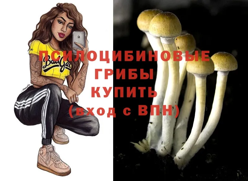 hydra ссылки  Рязань  Псилоцибиновые грибы Psilocybine cubensis 