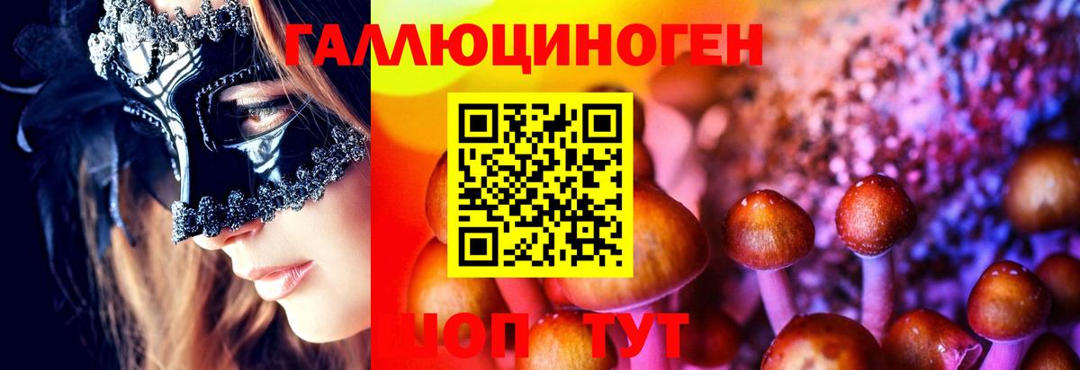 Рязань  продажа наркотиков  Вход с VPN  Псилоцибиновые грибы Magic Shrooms  Псилоцибиновые грибы Psilocybine cubensis 